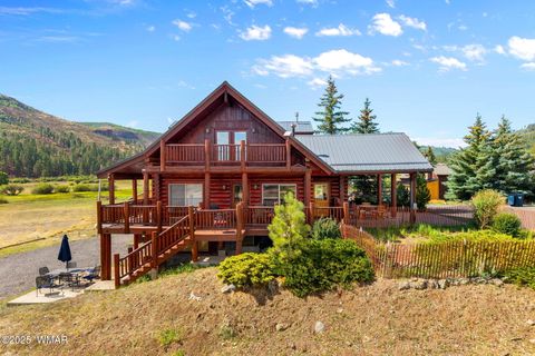 Tiny photo for 100 Main Street, Greer, AZ 85927 (MLS # 257283)