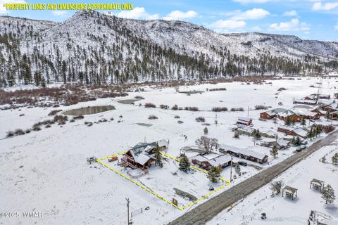 Tiny photo for 100 Main Street, Greer, AZ 85927 (MLS # 257283)