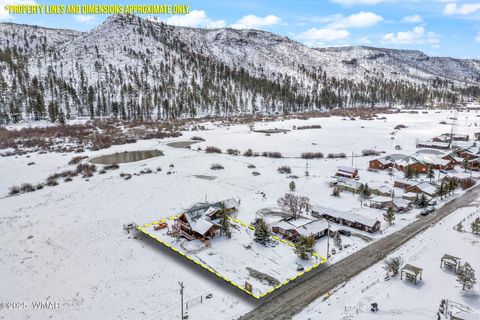 Tiny photo for 100 Main Street, Greer, AZ 85927 (MLS # 257283)