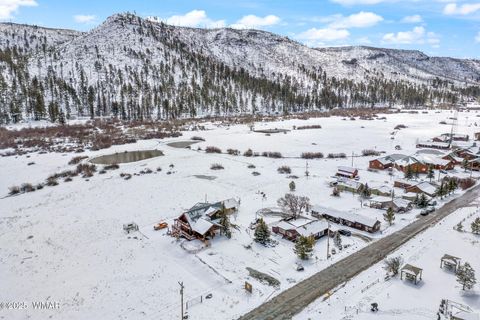Tiny photo for 100 Main Street, Greer, AZ 85927 (MLS # 257283)