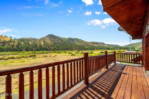 Tiny photo for 100 Main Street, Greer, AZ 85927 (MLS # 257283)
