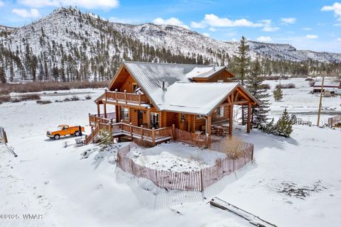 Tiny photo for 100 Main Street, Greer, AZ 85927 (MLS # 257283)