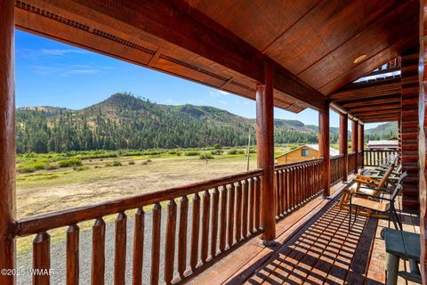 Tiny photo for 100 Main Street, Greer, AZ 85927 (MLS # 257283)