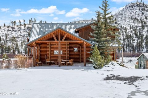 Tiny photo for 100 Main Street, Greer, AZ 85927 (MLS # 257283)