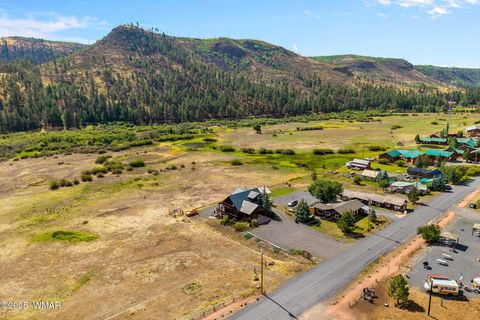 Tiny photo for 100 Main Street, Greer, AZ 85927 (MLS # 257283)