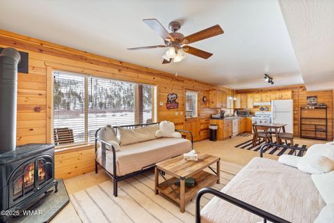 Tiny photo for 100 Main Street, Greer, AZ 85927 (MLS # 257283)