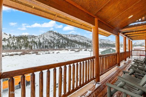 Tiny photo for 100 Main Street, Greer, AZ 85927 (MLS # 257283)
