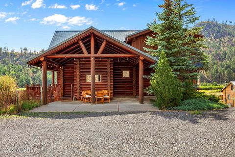 Photo of 100 Main Street, Greer, AZ 85927 (MLS # 257283)