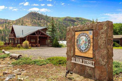 Tiny photo for 100 Main Street, Greer, AZ 85927 (MLS # 257283)