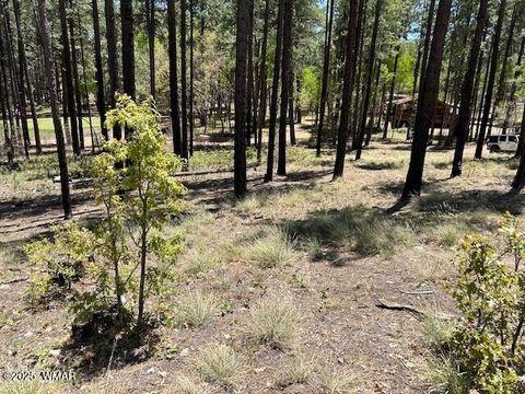 Tiny photo for TBD N2122, Alpine, AZ 85920 (MLS # 254436)