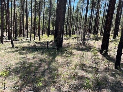 Tiny photo for TBD N2122, Alpine, AZ 85920 (MLS # 254436)
