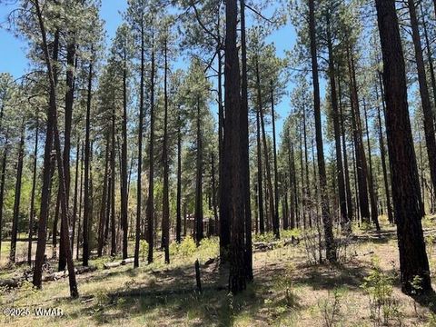 Tiny photo for TBD N2122, Alpine, AZ 85920 (MLS # 254436)