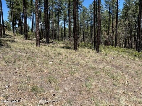 Tiny photo for TBD N2122, Alpine, AZ 85920 (MLS # 254436)