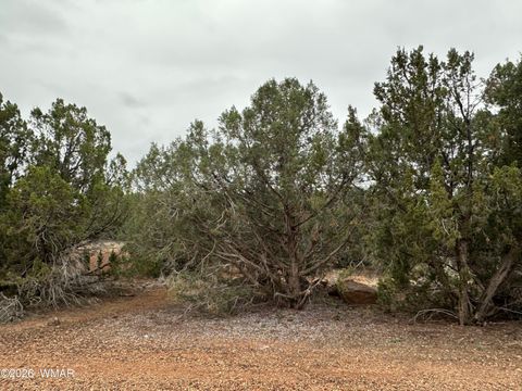 Photo of 8427 Cochise Circle, Show Low, AZ 85901 (MLS # 260473)