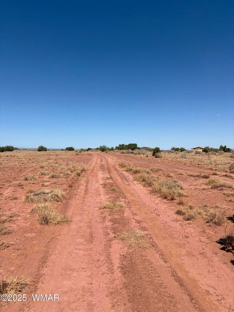 Tiny photo for 438C YAQUI DRIVE, Snowflake, AZ 85937 (MLS # 257325)