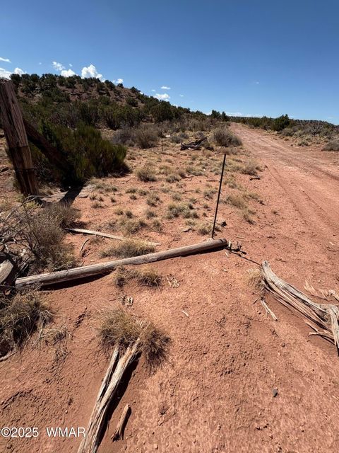 Photo of 438C YAQUI DRIVE, Snowflake, AZ 85937 (MLS # 257325)