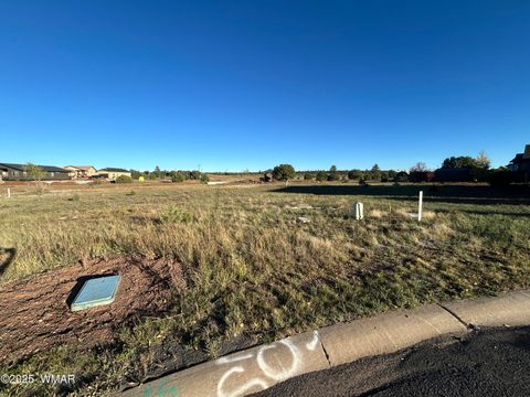 Tiny photo for 1041 S Lorenzo Sitgreaves Drive, Show Low, AZ 85901 (MLS # 258624)
