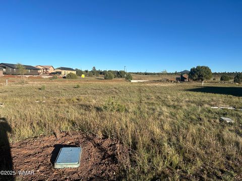 Tiny photo for 1041 S Lorenzo Sitgreaves Drive, Show Low, AZ 85901 (MLS # 258624)