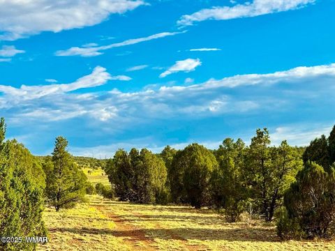 Tiny photo for TBD Flake Rd Lots L & P 2.54 Acres, Overgaard, AZ 85933 (MLS # 257177)
