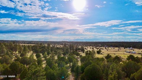 Tiny photo for TBD Flake Rd Lots L & P 2.54 Acres, Overgaard, AZ 85933 (MLS # 257177)