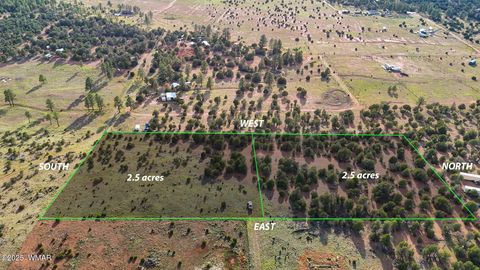 Tiny photo for TBD Flake Rd Lots L & P 2.54 Acres, Overgaard, AZ 85933 (MLS # 257177)
