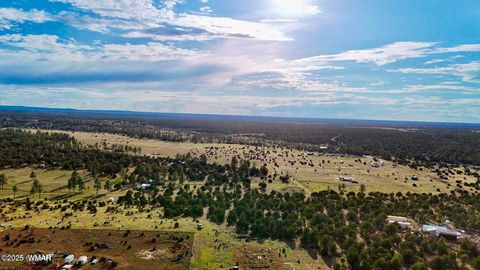 Tiny photo for TBD Flake Rd Lots L & P 2.54 Acres, Overgaard, AZ 85933 (MLS # 257177)