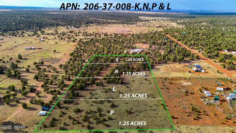 Tiny photo for TBD Flake Rd Lots L & P 2.54 Acres, Overgaard, AZ 85933 (MLS # 257177)