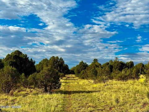 Tiny photo for TBD Flake Rd Lots L & P 2.54 Acres, Overgaard, AZ 85933 (MLS # 257177)
