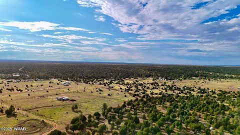 Tiny photo for TBD Flake Rd Lots L & P 2.54 Acres, Overgaard, AZ 85933 (MLS # 257177)