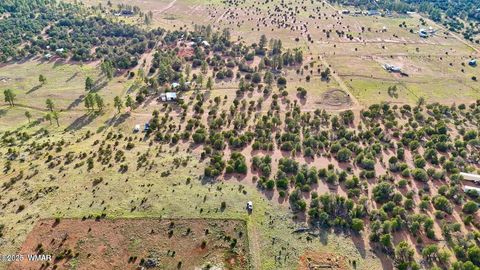 Tiny photo for TBD Flake Rd Lots L & P 2.54 Acres, Overgaard, AZ 85933 (MLS # 257177)