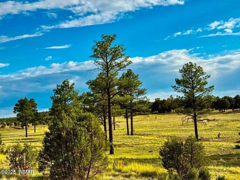 Photo of TBD Flake Rd Lots L & P 2.54 Acres, Overgaard, AZ 85933 (MLS # 257177)
