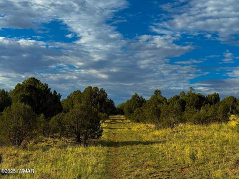 Tiny photo for TBD Flake Rd Lots L & P 2.54 Acres, Overgaard, AZ 85933 (MLS # 257177)