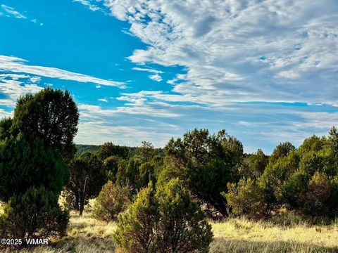 Tiny photo for TBD Flake Rd Lots L & P 2.54 Acres, Overgaard, AZ 85933 (MLS # 257177)