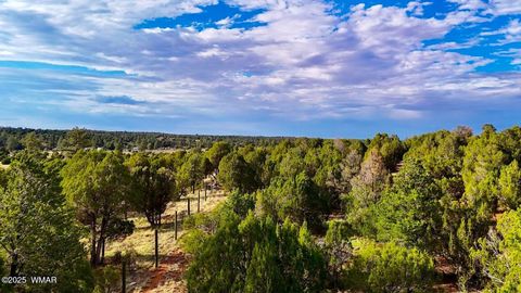 Tiny photo for TBD Flake Rd Lots L & P 2.54 Acres, Overgaard, AZ 85933 (MLS # 257177)