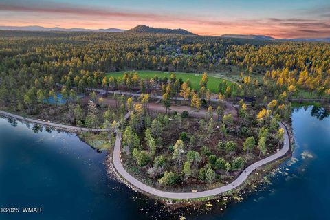 Tiny photo for 50 S Bench Circle, Show Low, AZ 85901 (MLS # 256065)