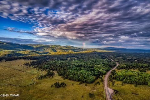 Tiny photo for 50 S Bench Circle, Show Low, AZ 85901 (MLS # 256065)