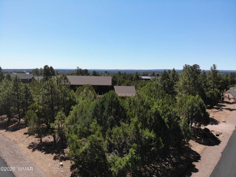 Tiny photo for 1495 Shade Tree Drive, Heber, AZ 85928 (MLS # 261810)