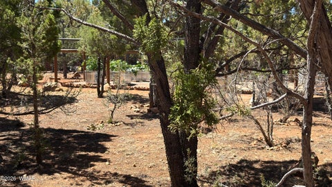 Tiny photo for 1495 Shade Tree Drive, Heber, AZ 85928 (MLS # 261810)