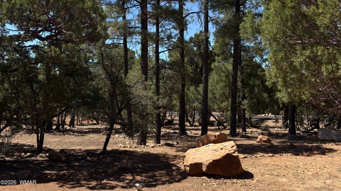 Tiny photo for 1495 Shade Tree Drive, Heber, AZ 85928 (MLS # 261810)