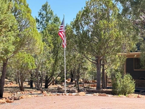 Tiny photo for 1495 Shade Tree Drive, Heber, AZ 85928 (MLS # 261810)