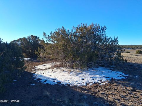 Tiny photo for 286 County Road, Concho, AZ 85924 (MLS # 258875)