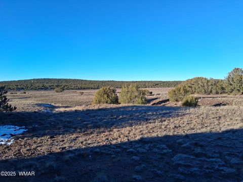 Tiny photo for 286 County Road, Concho, AZ 85924 (MLS # 258875)