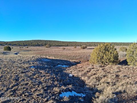 Tiny photo for 286 County Road, Concho, AZ 85924 (MLS # 258875)