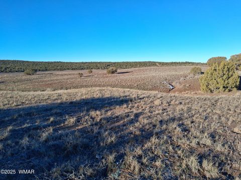 Tiny photo for 286 County Road, Concho, AZ 85924 (MLS # 258875)