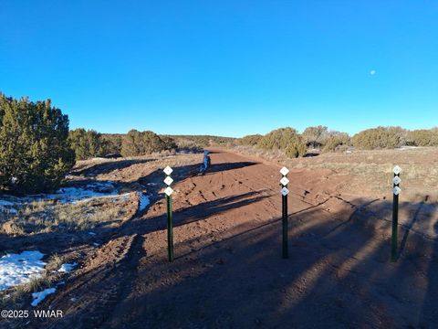 Tiny photo for 286 County Road, Concho, AZ 85924 (MLS # 258875)