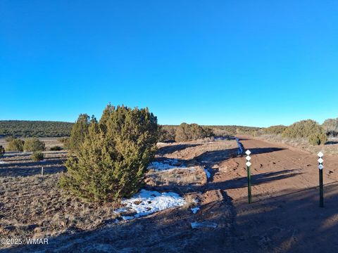Photo of 286 County Road, Concho, AZ 85924 (MLS # 258875)