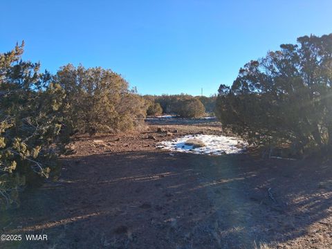 Tiny photo for 286 County Road, Concho, AZ 85924 (MLS # 258875)