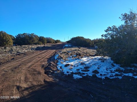 Tiny photo for 286 County Road, Concho, AZ 85924 (MLS # 258875)