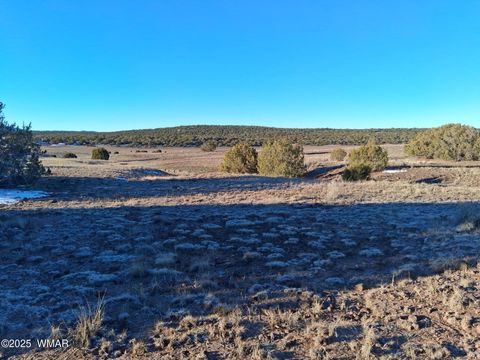Tiny photo for 286 County Road, Concho, AZ 85924 (MLS # 258875)
