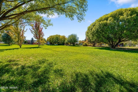Tiny photo for 6668 Cherry Blossom Lane, Show Low, AZ 85901 (MLS # 263529)